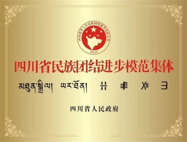 小卓瑪走下高原，千里就醫(yī) | 通用醫(yī)療三六三醫(yī)院的“藏漢情緣”(圖11)