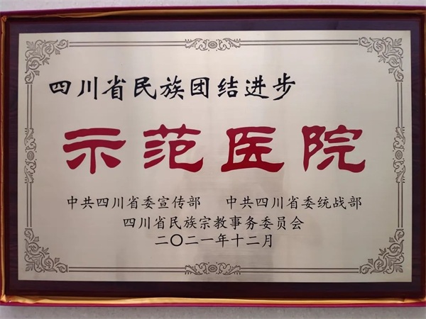 小卓瑪走下高原，千里就醫(yī) | 通用醫(yī)療三六三醫(yī)院的“藏漢情緣”(圖12)